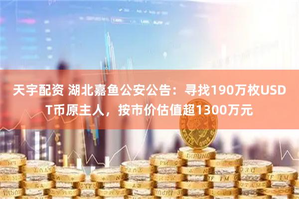 天宇配资 湖北嘉鱼公安公告：寻找190万枚USDT币原主人，按市价估值超1300万元